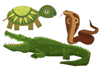 reptiles